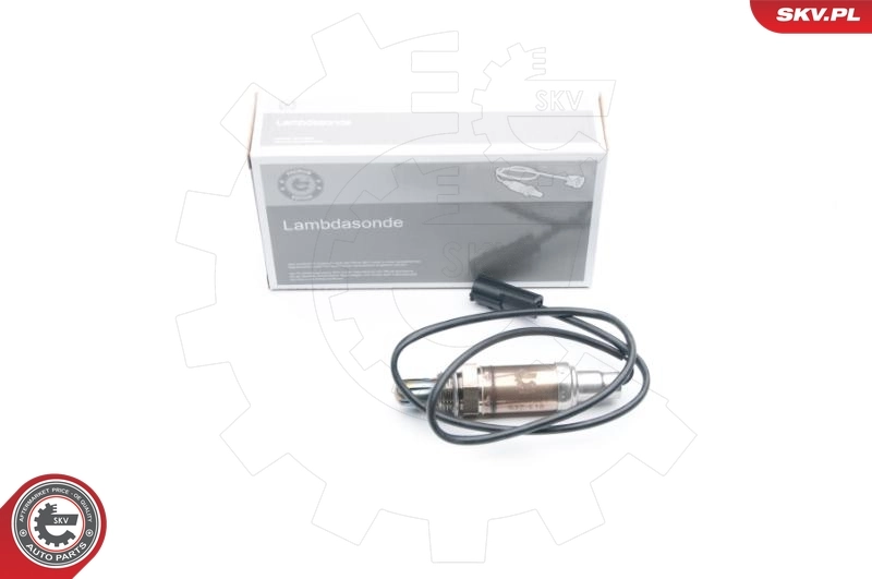 Oxygen Sensor